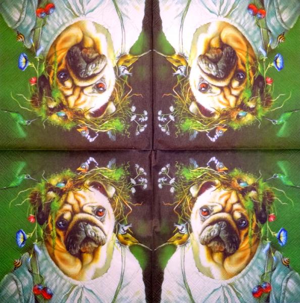 923 Dogs - 3-ply - Specials